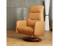 NOUVEAU Fauteuil releveur électrique pivotant - Oslow