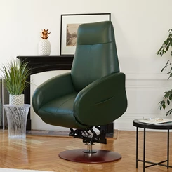 Fauteuil releveur électrique - Oniks